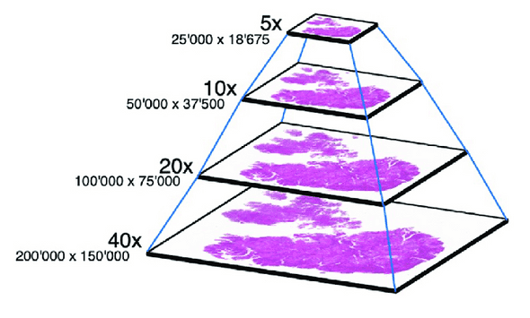 WSI pyramid